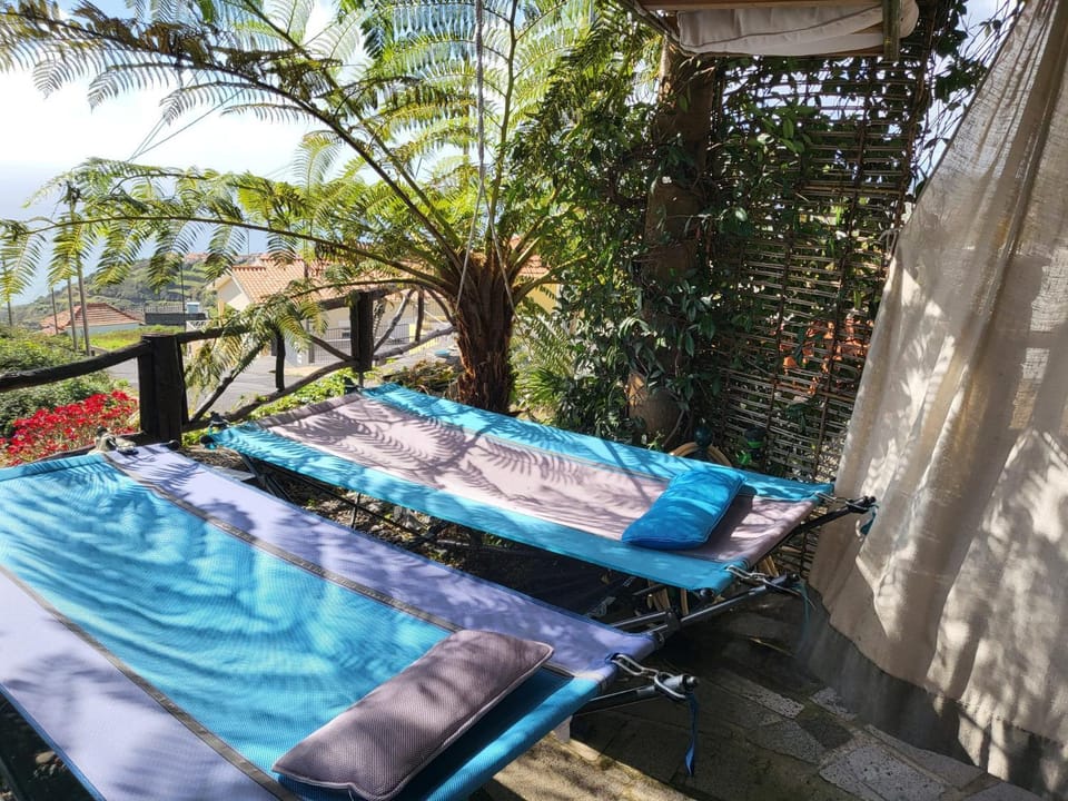 Boutique Chalet in Calheta Apartment in Madeira District
