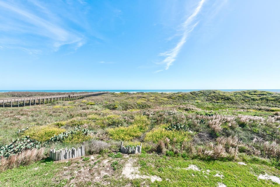 Natural landscape, Beach
