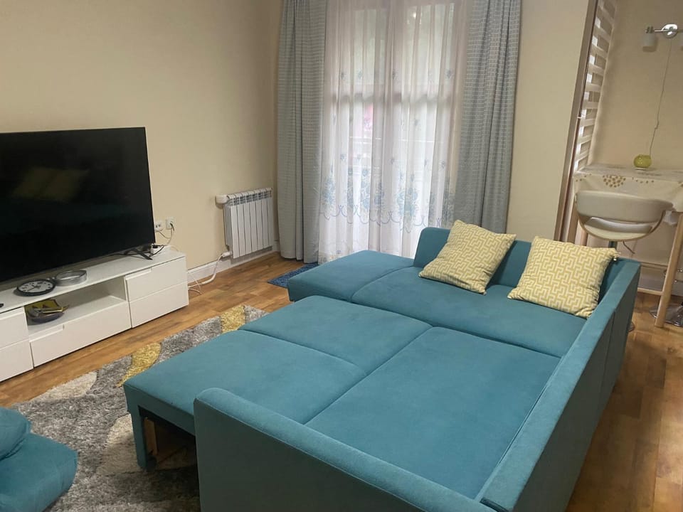 Ski to door at Mountain View 1BR condo Bansko Apartment in Bansko