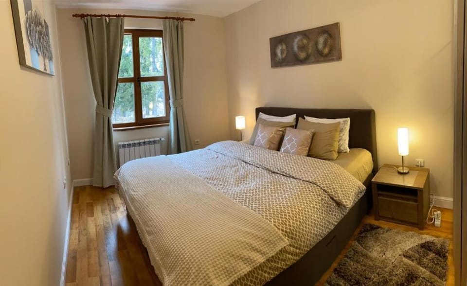 Ski to door at Mountain View 1BR condo Bansko Apartment in Bansko