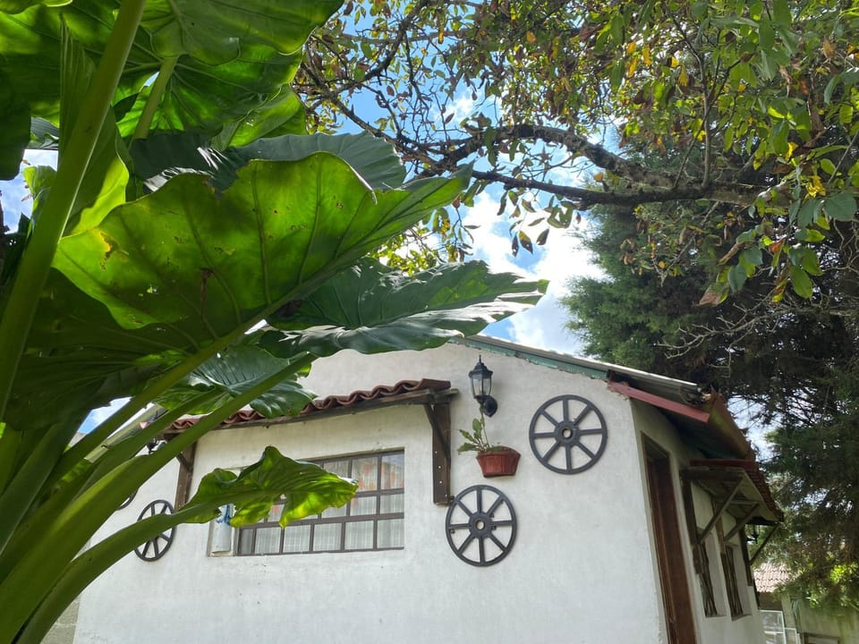 Property building, Garden view