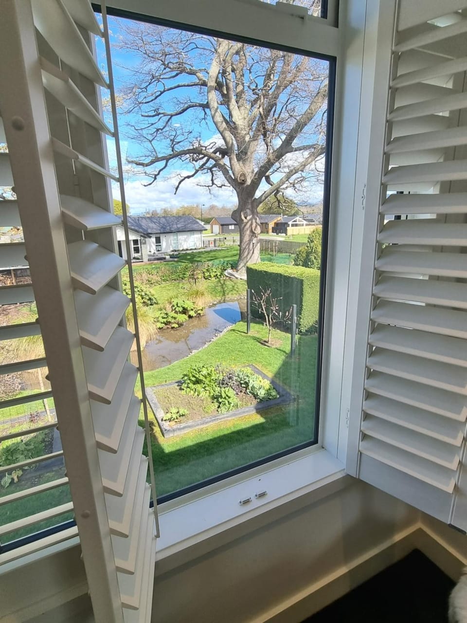 View (from property/room)