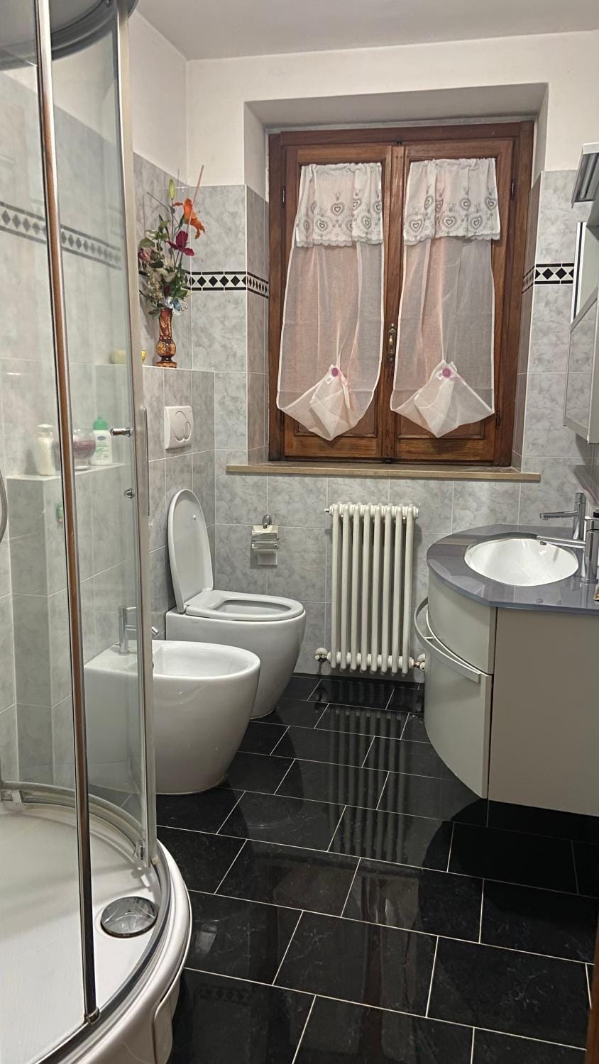 Shower, Toilet, Bathroom, bidet