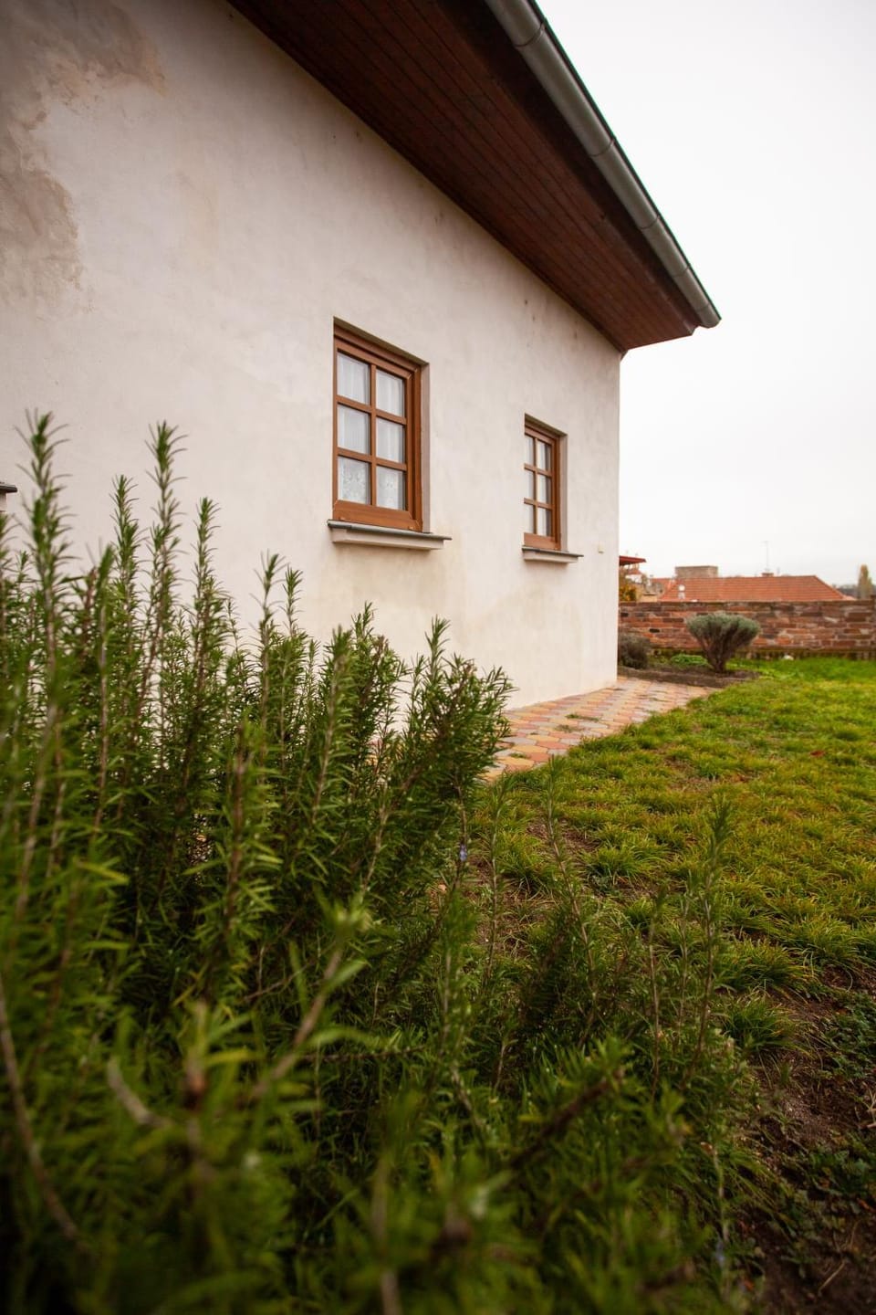 Property building, Day, Garden, Garden view