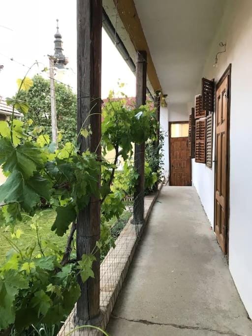 Feked Farmstay House in Hungary