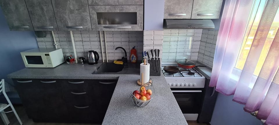 Kitchen or kitchenette, minibar, pet friendly, kitchen, kitchen