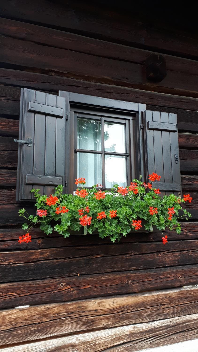 Fuggerhütte House in Carinthia, Austria