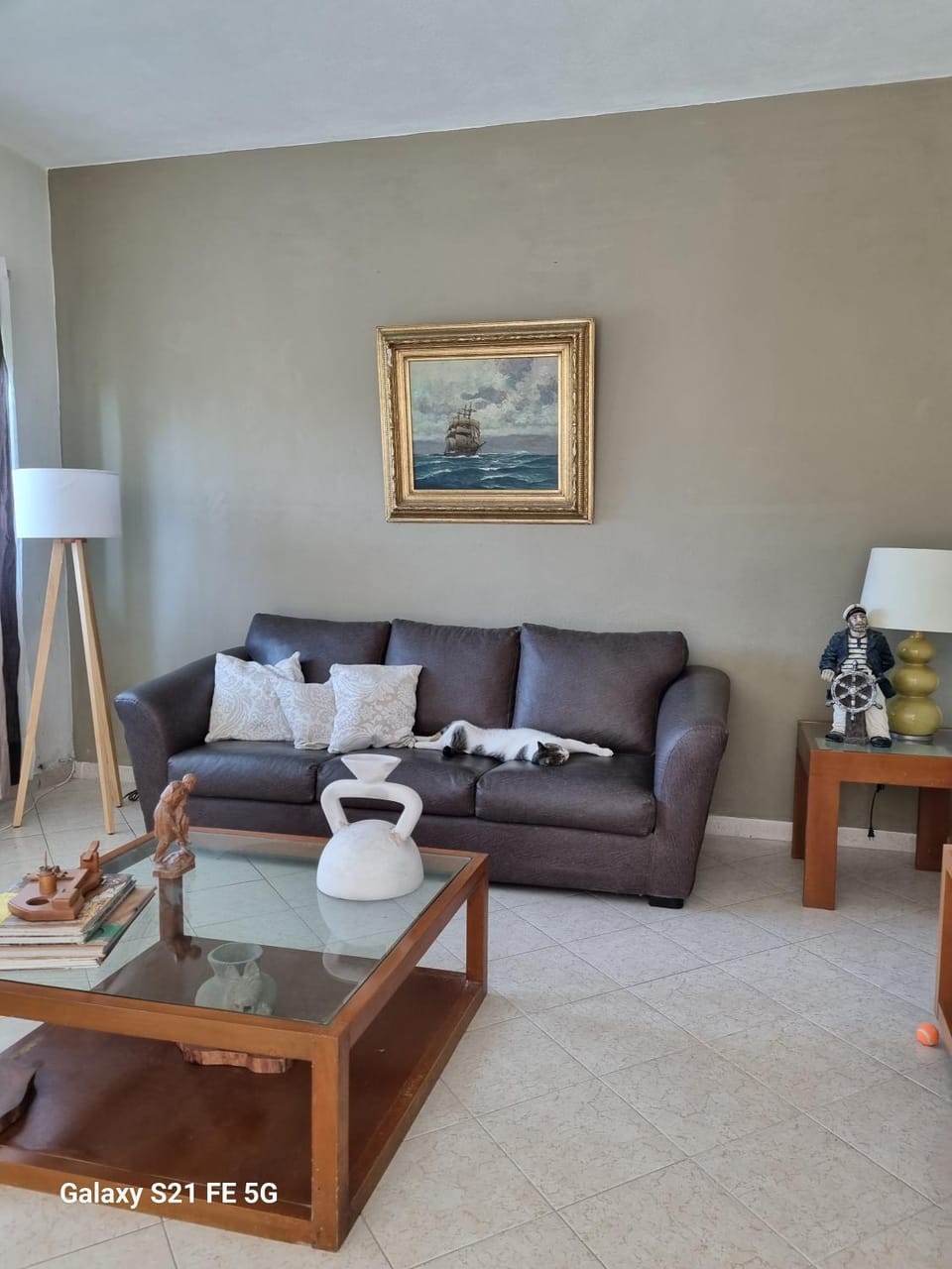 Delfin Campground/ 
RV Resort in Mesa Quemada
