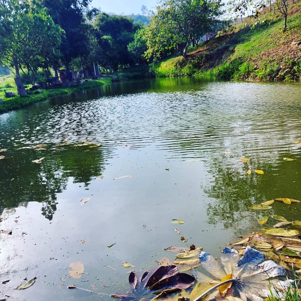 Natural landscape