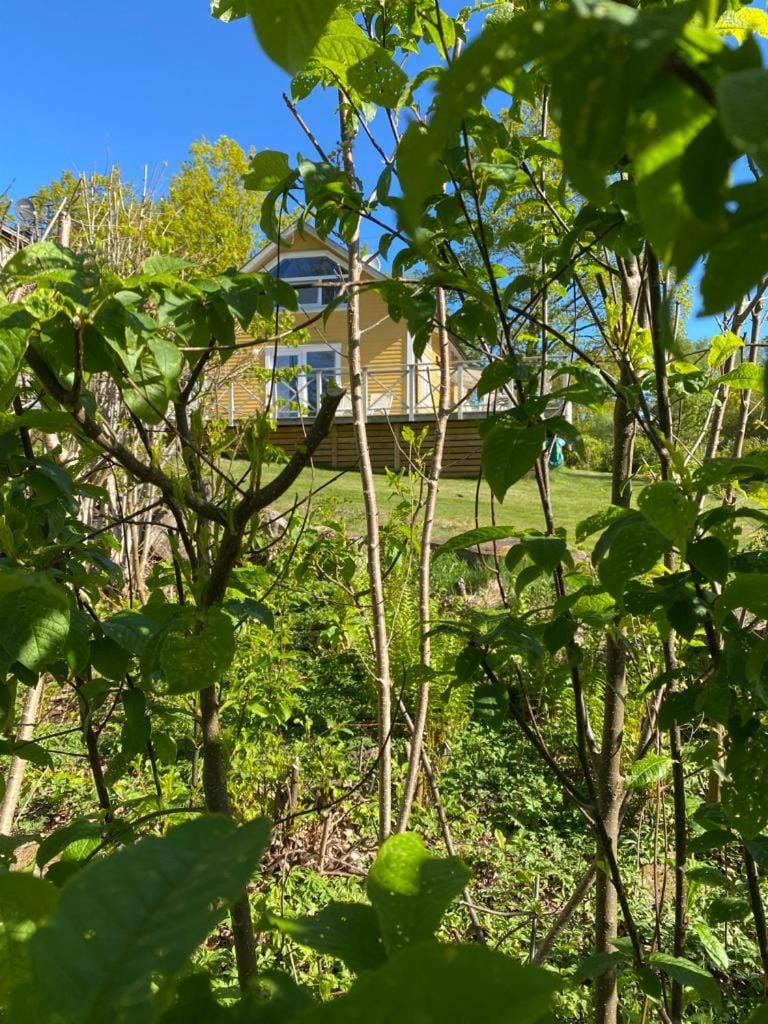 Garden, Garden