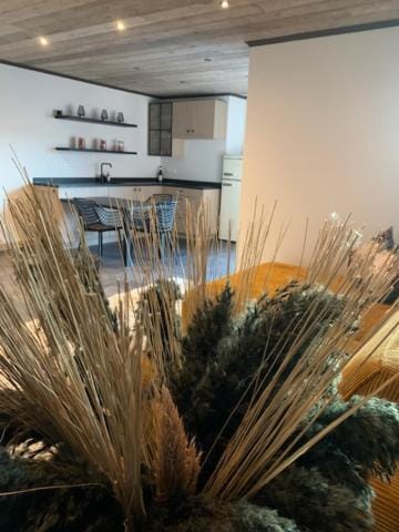 Vélo 94 bij Soof Villa in Flanders