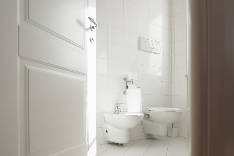 Toilet, Bathroom, bidet