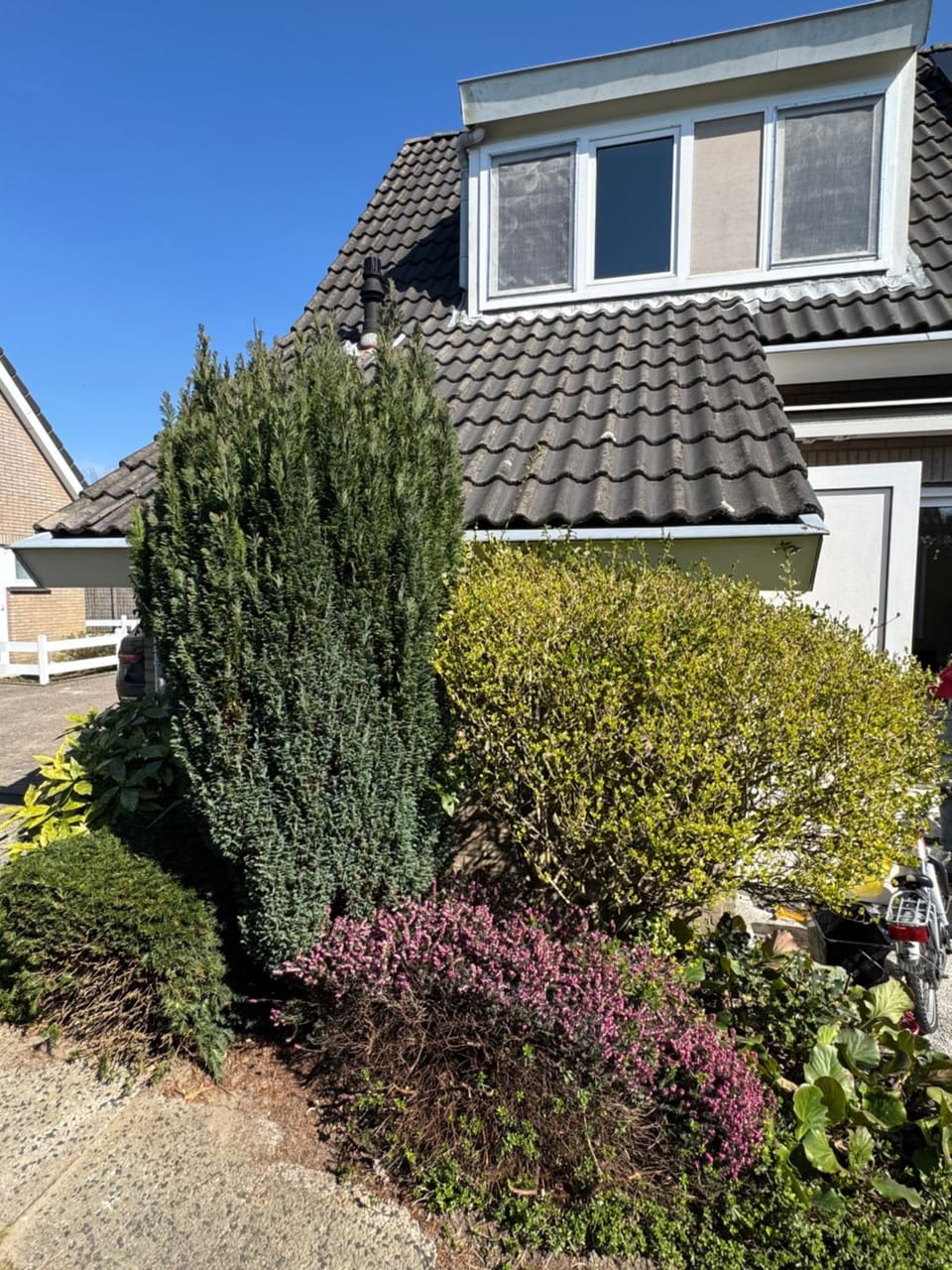 Garden, Garden