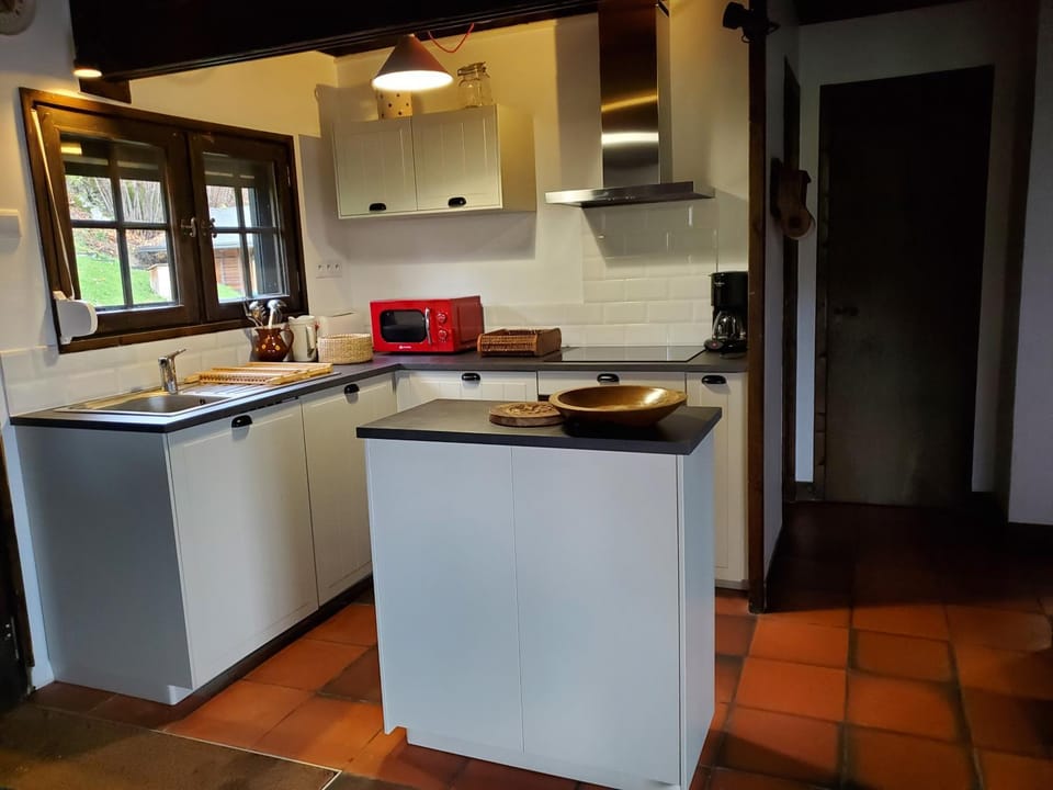 Kitchen or kitchenette, dishwasher, stove, toaster