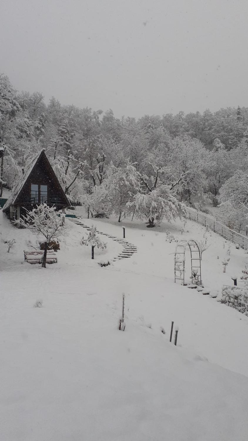 Open View Place The A Frame Chalet in Romania