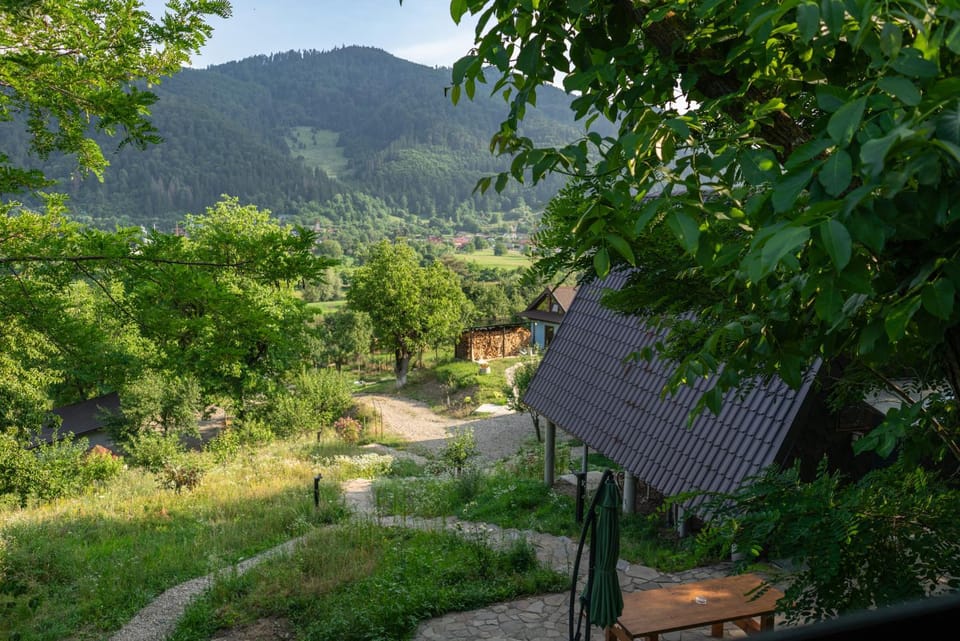 Open View Place The A Frame Chalet in Romania