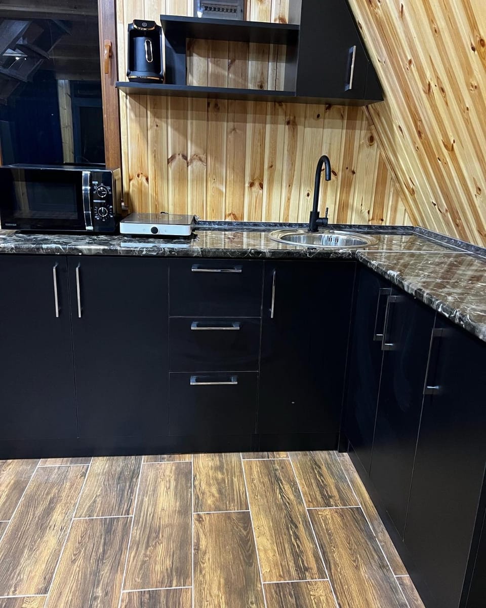 Kitchen or kitchenette, minibar, oven, pet friendly, stove, kitchen, kitchen