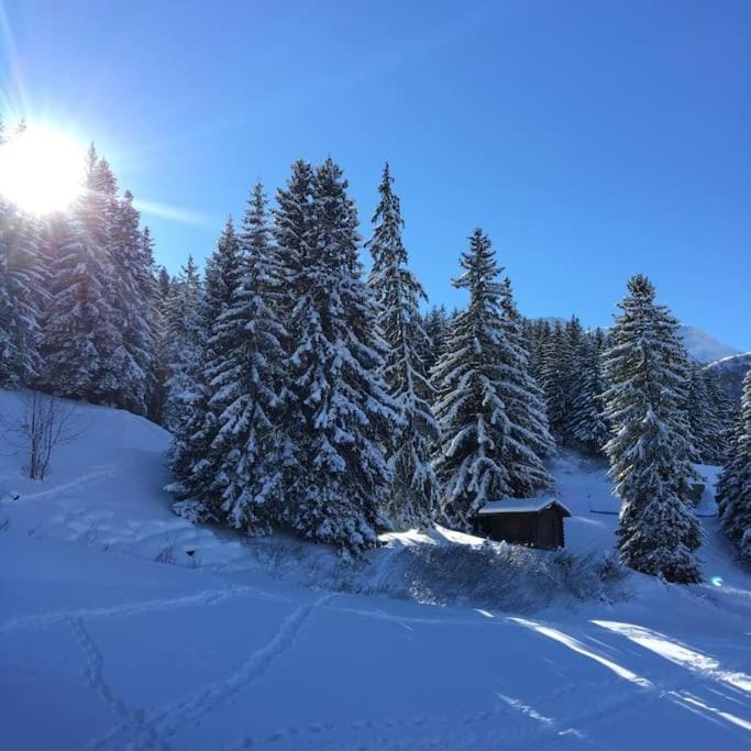 Le cheval noir 37 (6-7 couchages ) Apartment in Les Avanchers-Valmorel