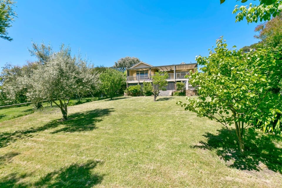 Property building, Garden view