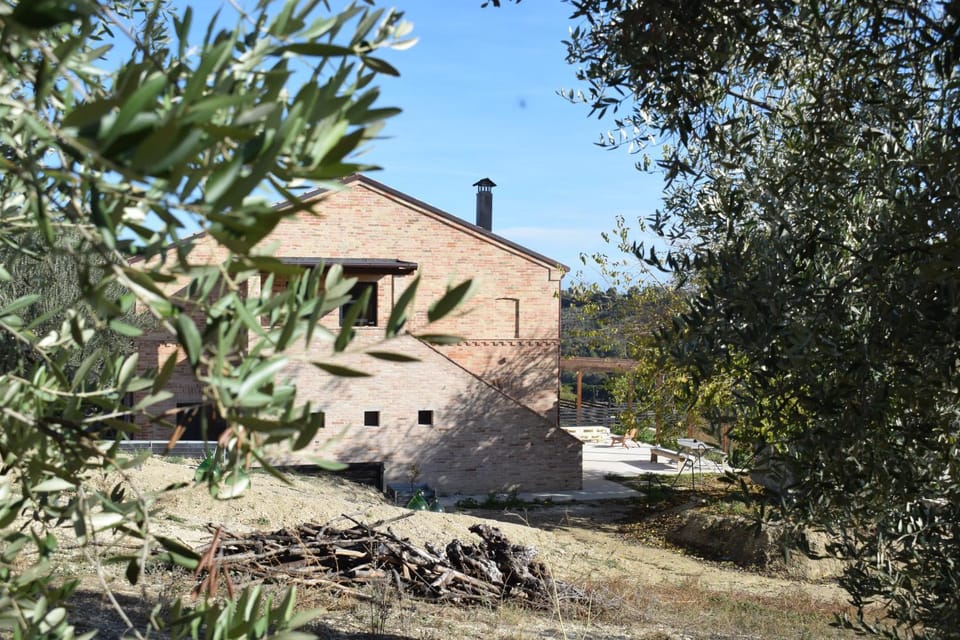 Property building, Garden, Garden, Garden view