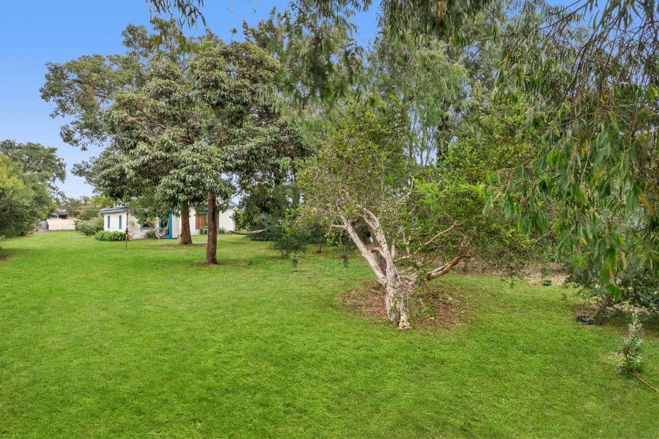 Natural landscape, Garden, Garden view