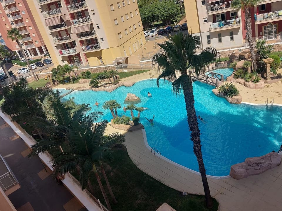 Pool view, Swimming pool