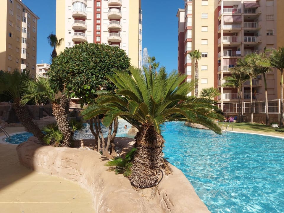 Garden, Garden view, Pool view, Swimming pool