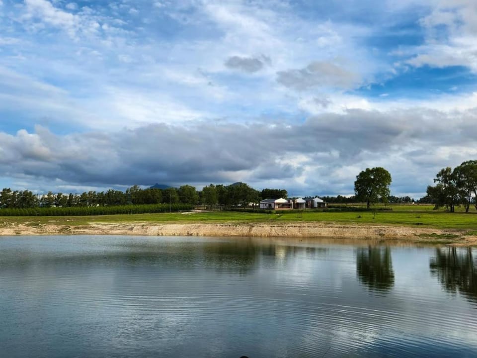 Lake view