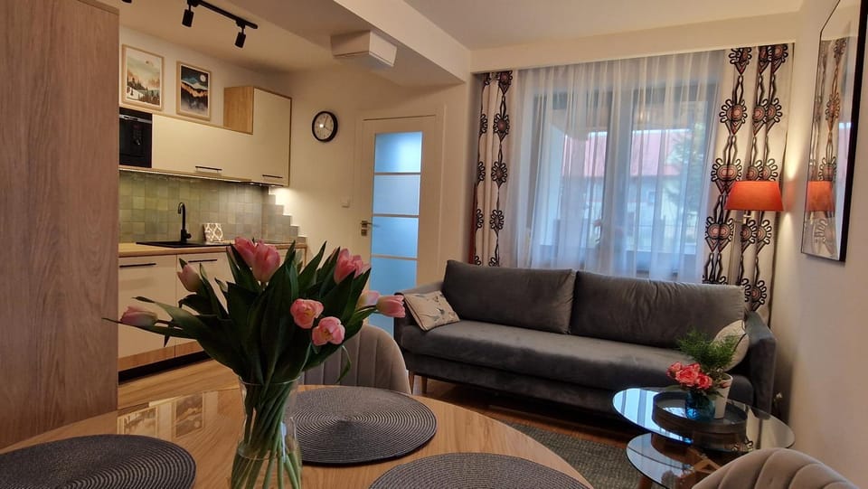 Apartament Czarna Owca - Grapa SUN & SNOW 667-494-631 Apartment in Lesser Poland Voivodeship