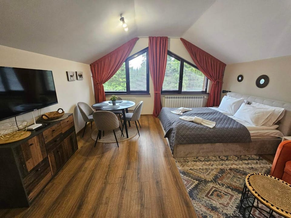 Rustic Mountain Apartment - A55 Apartment in North Macedonia