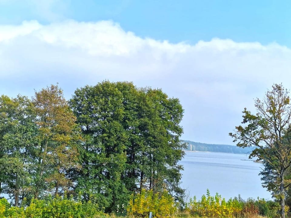 Lake view