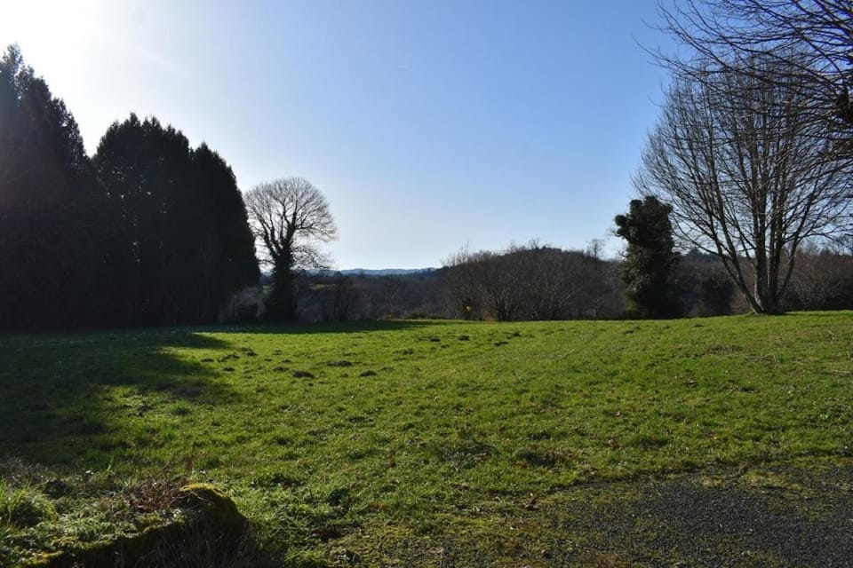 Natural landscape, Garden, Garden, Garden view