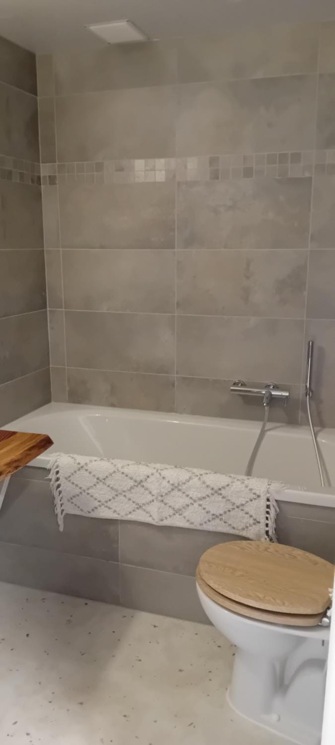Toilet, Bathroom, Bath