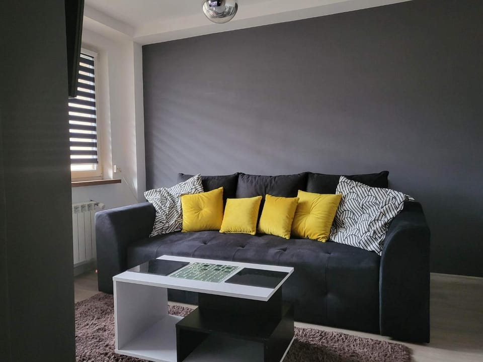 Apartament przy Parku Apartment in Lesser Poland Voivodeship