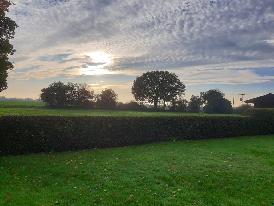 Garden, Garden view