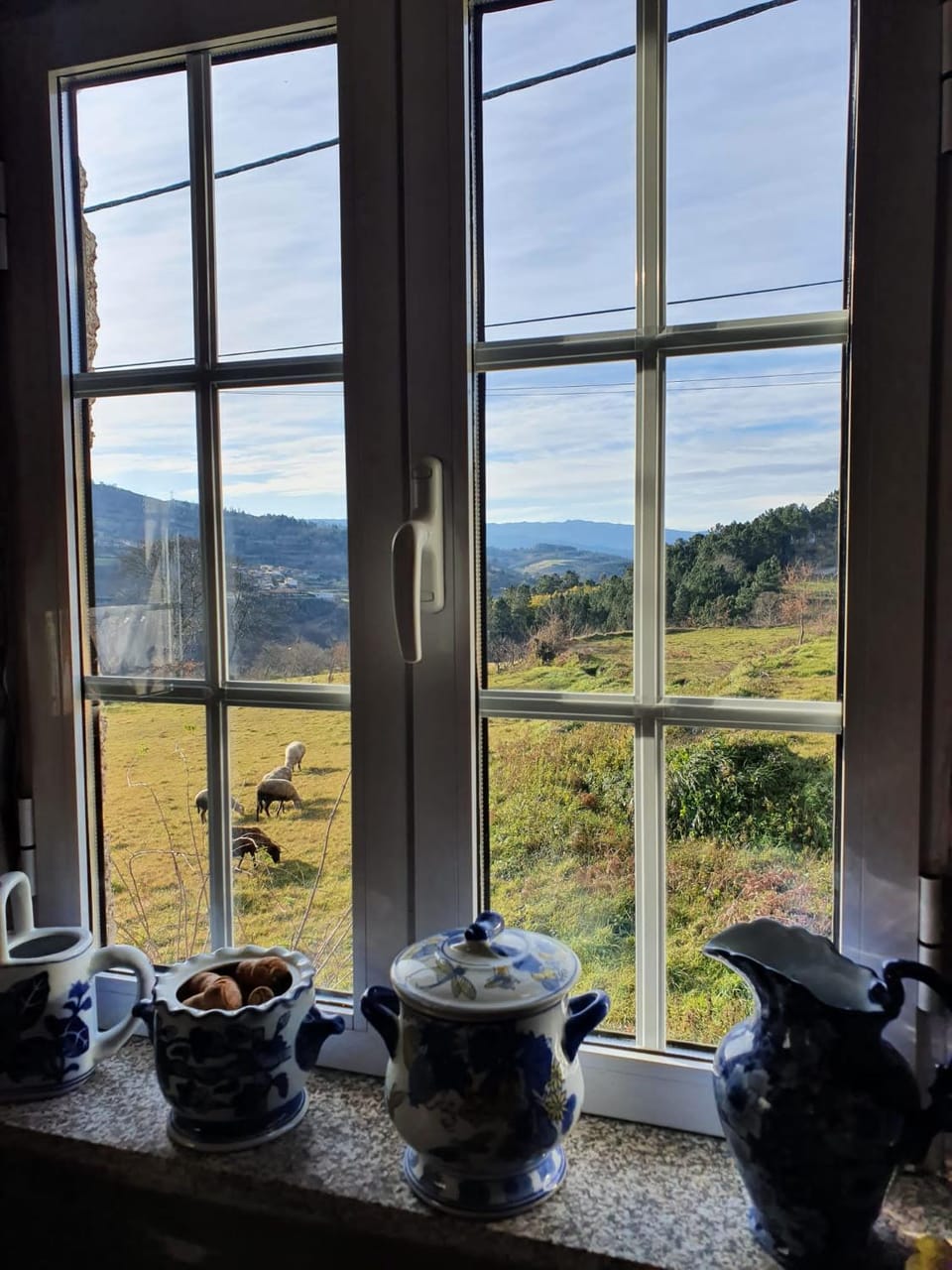 Casa da Poça House in Porto District