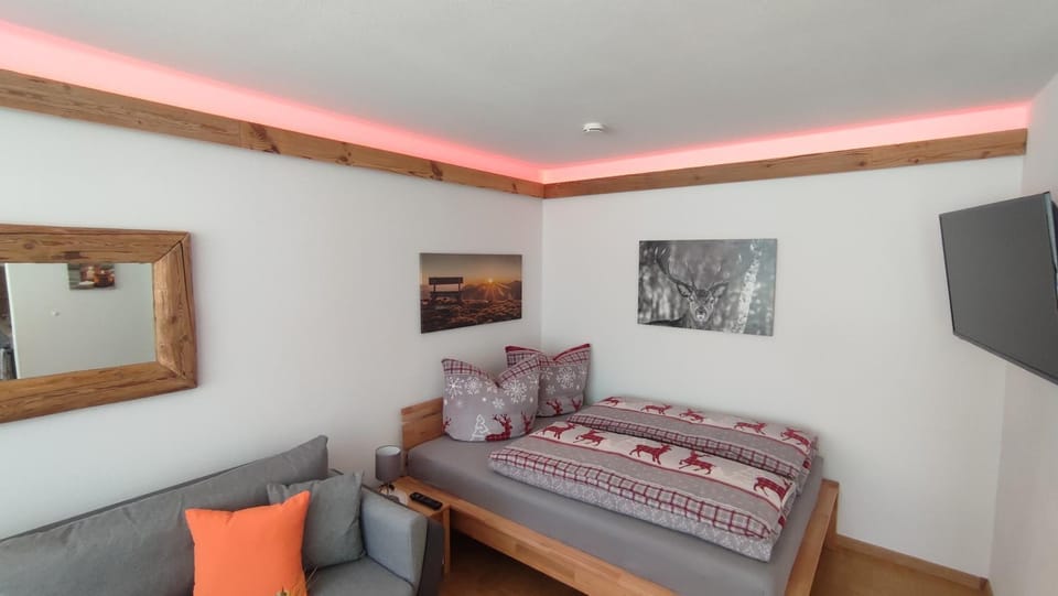 Bed, TV and multimedia, Living room, Decorative detail, Seating area, Bedroom