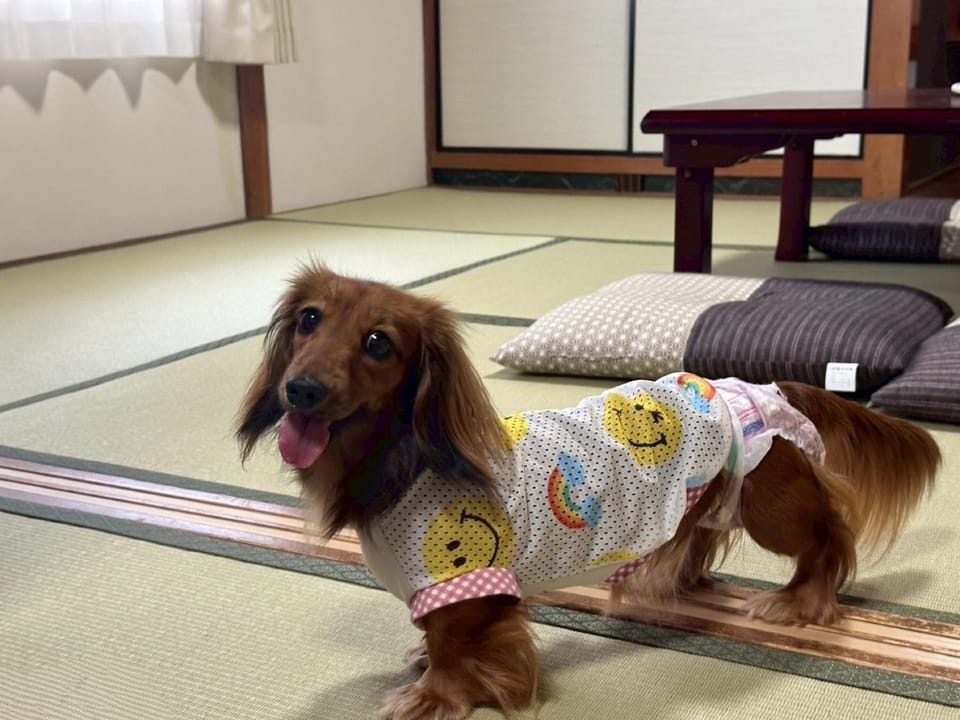 ふるシェアの家 大阪 千早赤阪村 Apartment in Osaka Prefecture