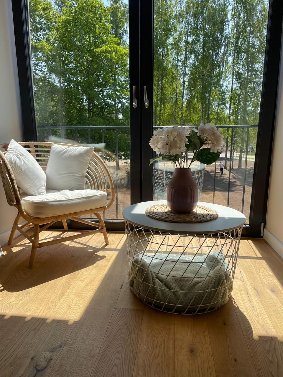 Albatross Beach Apartment - SPA, Sea and Forest Apartment in Latvia