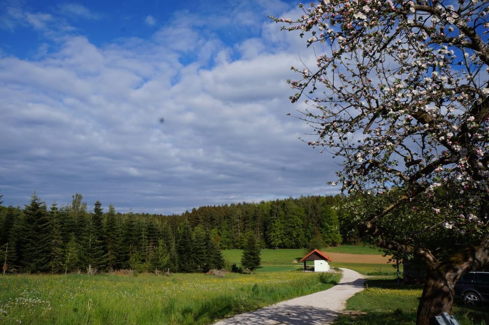 Natural landscape