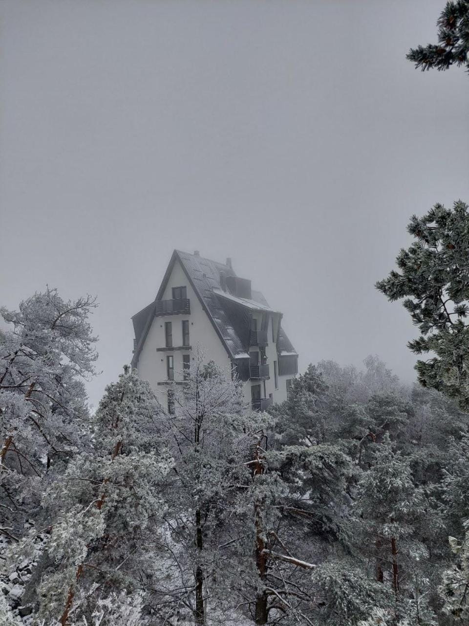 Amor Divčibare Apartment in Zlatibor District, Serbia
