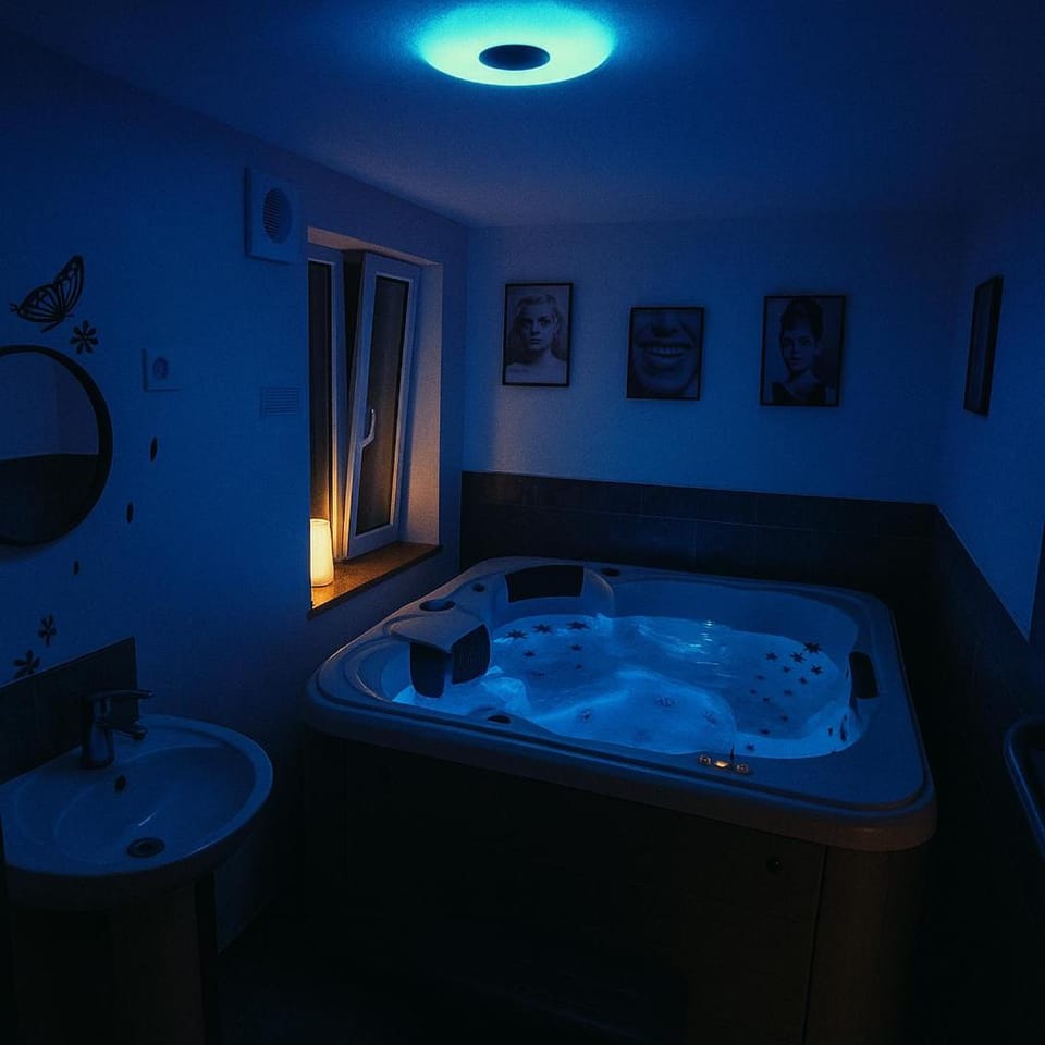 L'immortel GITE 2 AVEC OU SANS SPA Apartment in Hauts-de-France