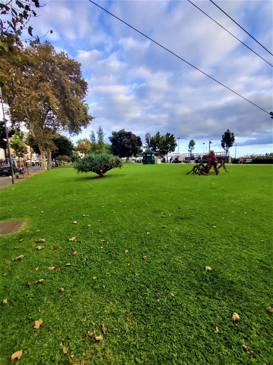 Natural landscape, Garden