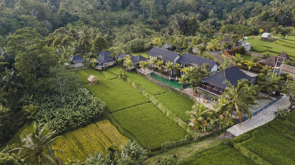 Bird's eye view, View (from property/room), Swimming pool