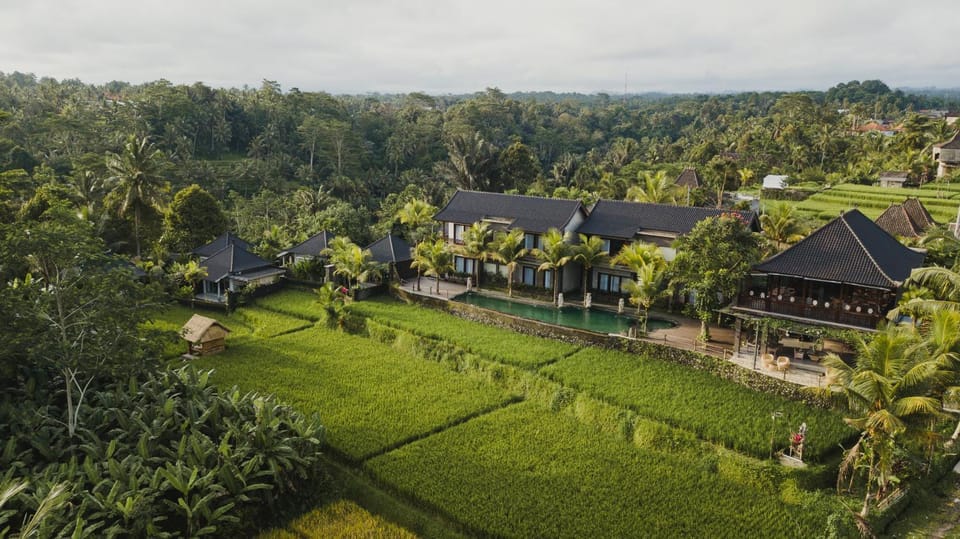 Natural landscape, Bird's eye view, View (from property/room), Garden view