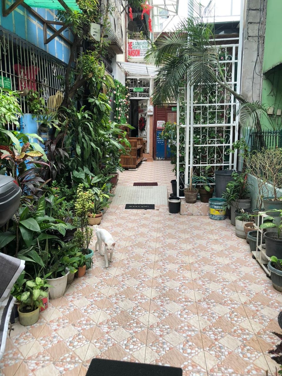 THE MANSION: 18 PAX BUDGET NEAR AIRPORT TERMINAL PASAY Apartment in Pasay