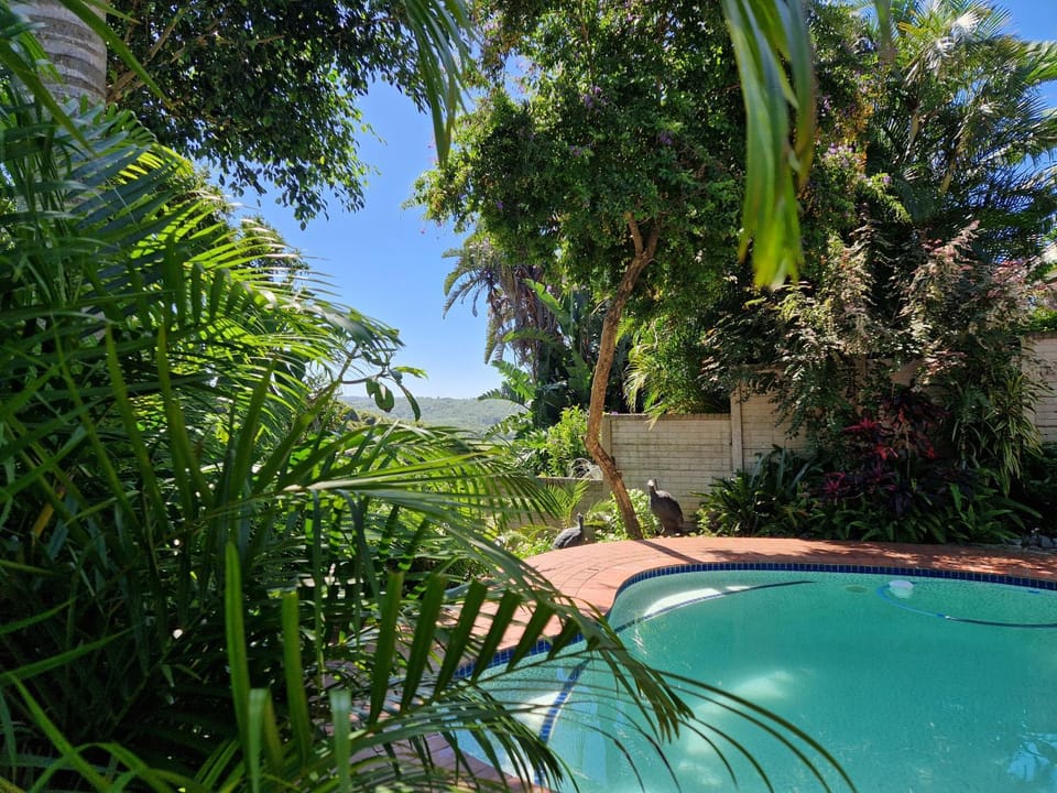 MaeStorm GardensAfrican apartement House in Eastern Cape