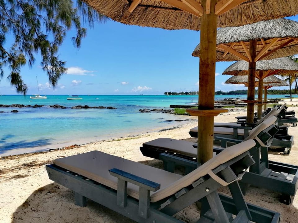 sunbed