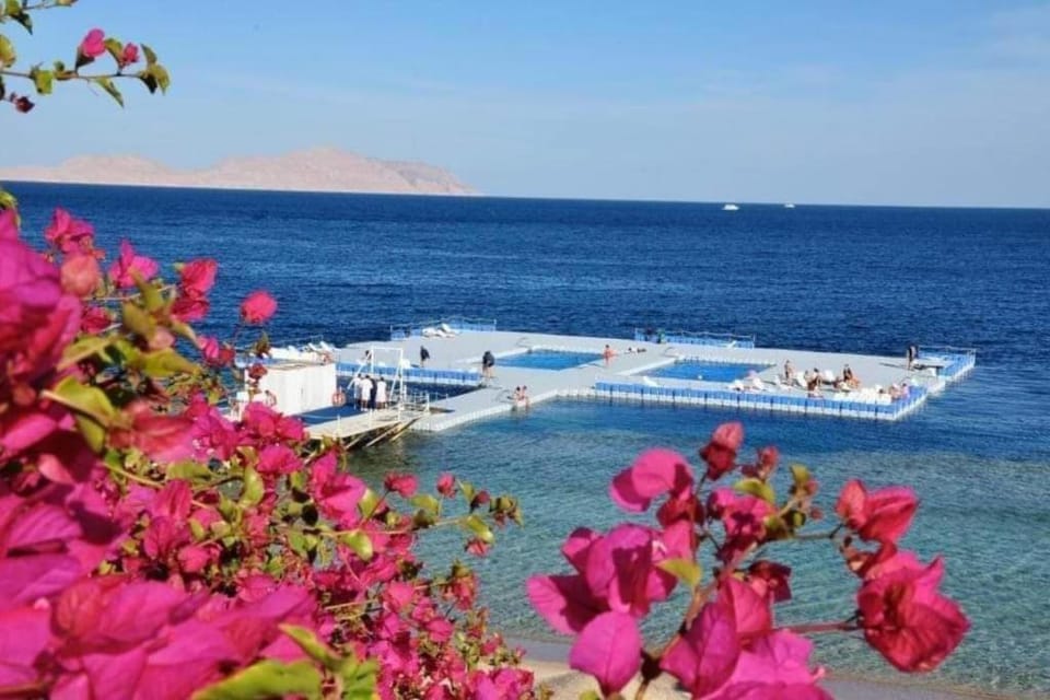 appartamento di lusso con terrazzo vista mare Apartment in Sharm El-Sheikh