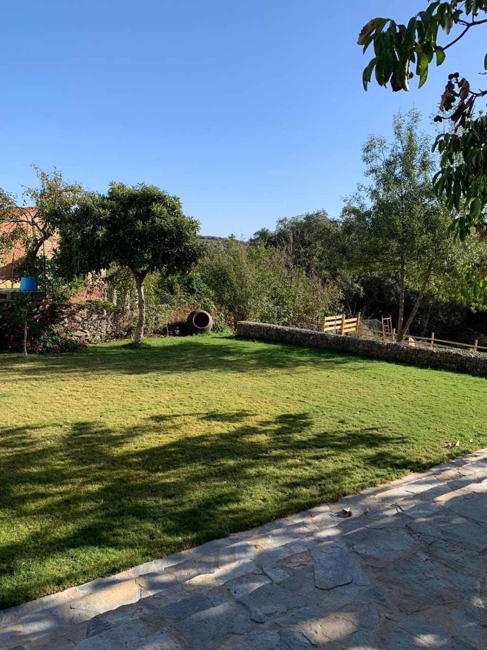 Garden, Garden view